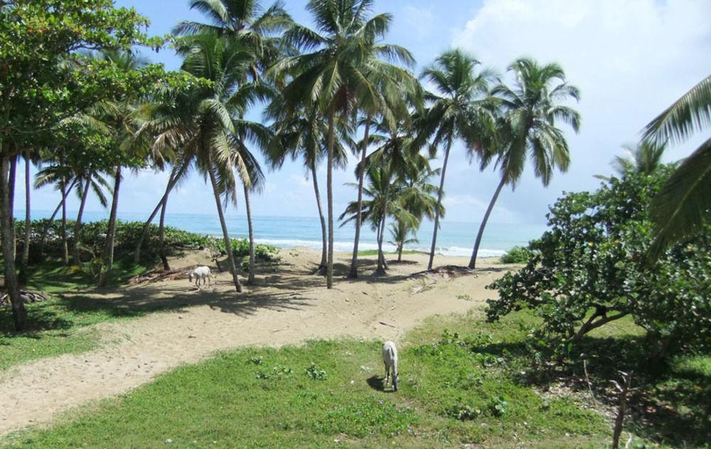 Brisas Doradas Cabarete Extérieur photo